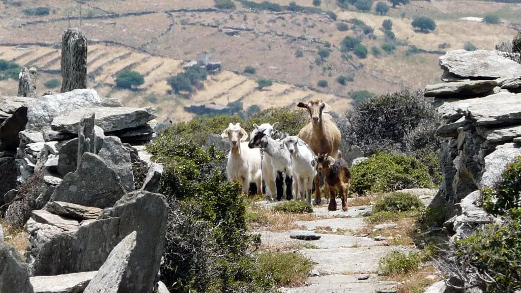 hiking andros greece