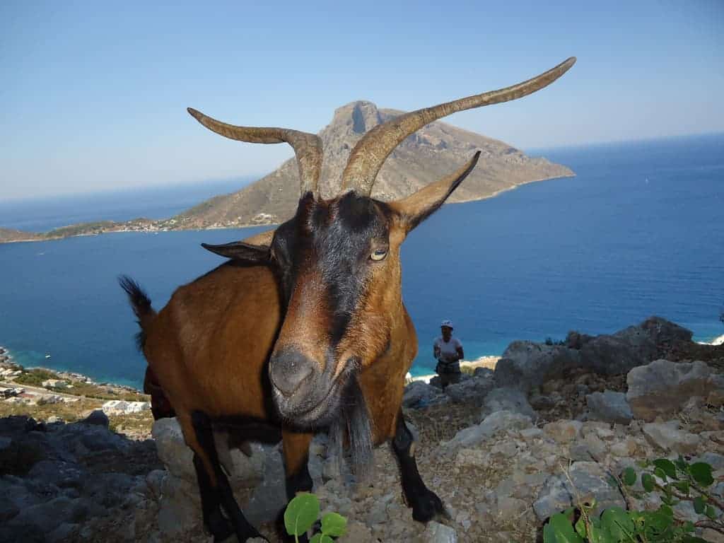 kalymnos climbing