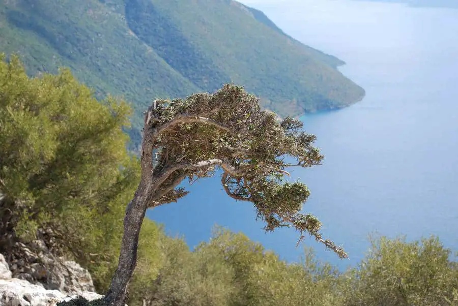 Trekking Aetos-Acropolis of Alalkomenes,Ithaca