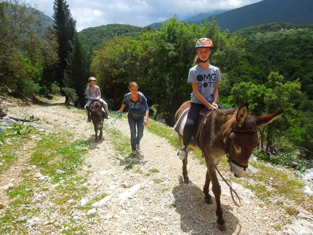 Donkey Trekking Kefalonia