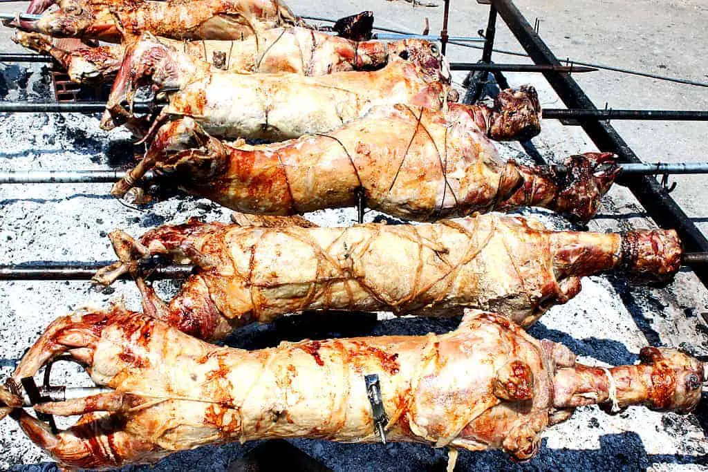 Greek Easter Lambs