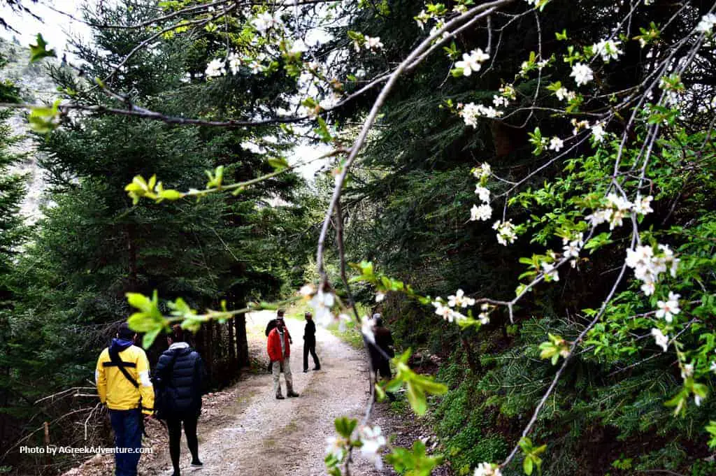 Hiking Agrafa