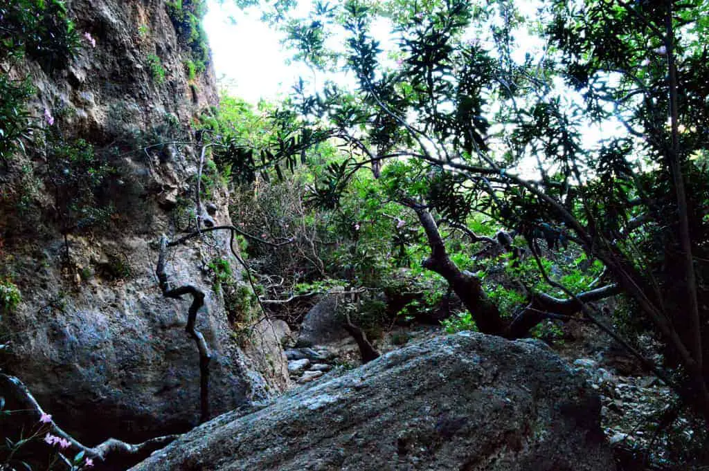 Gorges of Crete