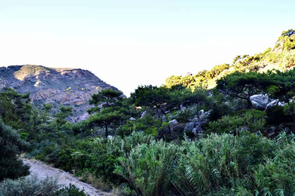 Gorges of Crete