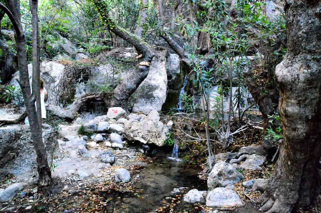 Gorges of Crete