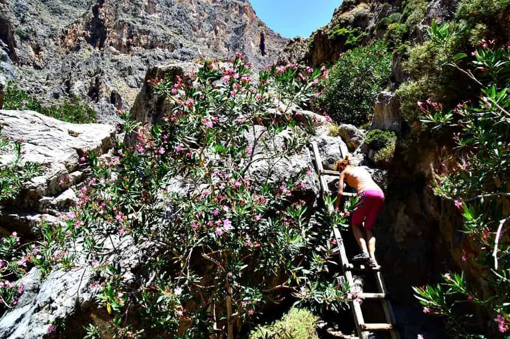 Pervolakia Canyon Crete