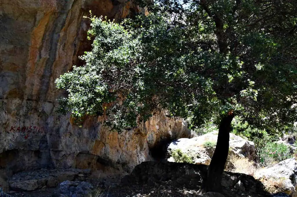 Pervolakia Canyon Crete