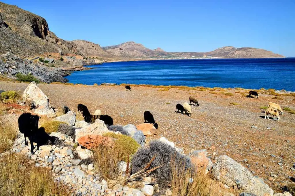 Pervolakia Canyon Crete