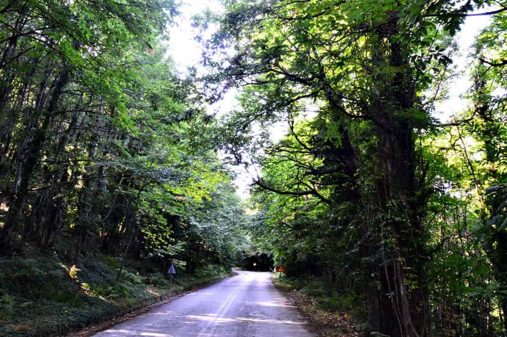 Pelion