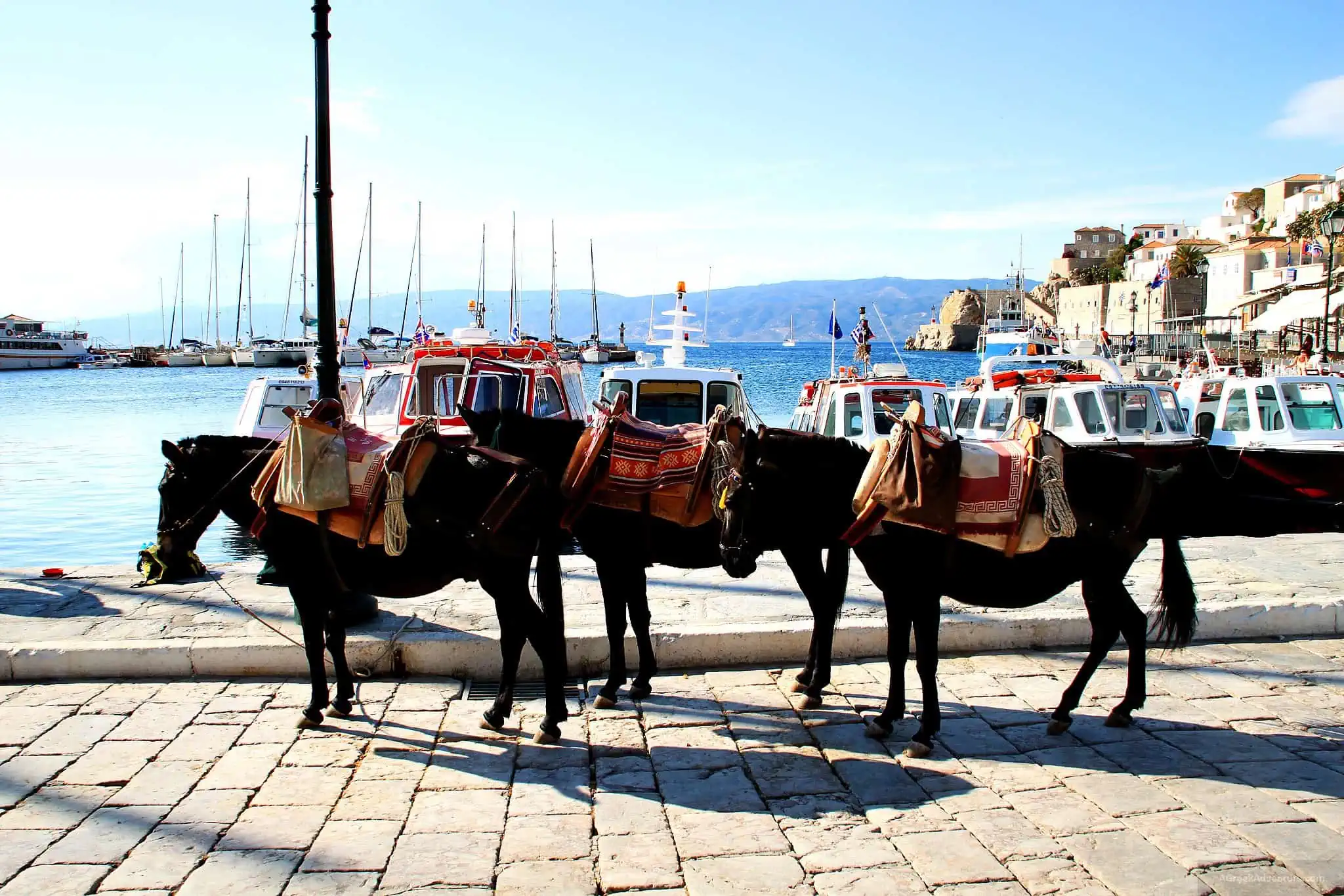 Things To Do In Hydra Greece