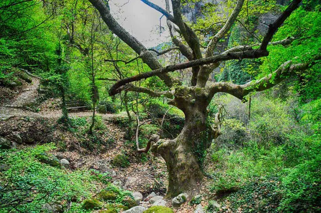 Hiking Meteora Greece