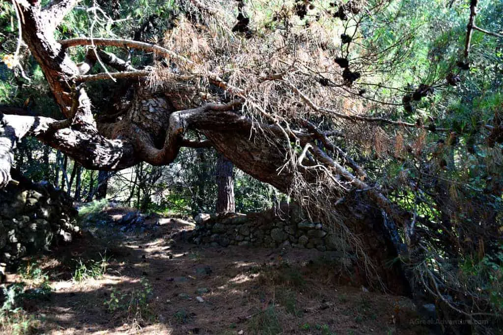 Chios island, Kampia Gorge