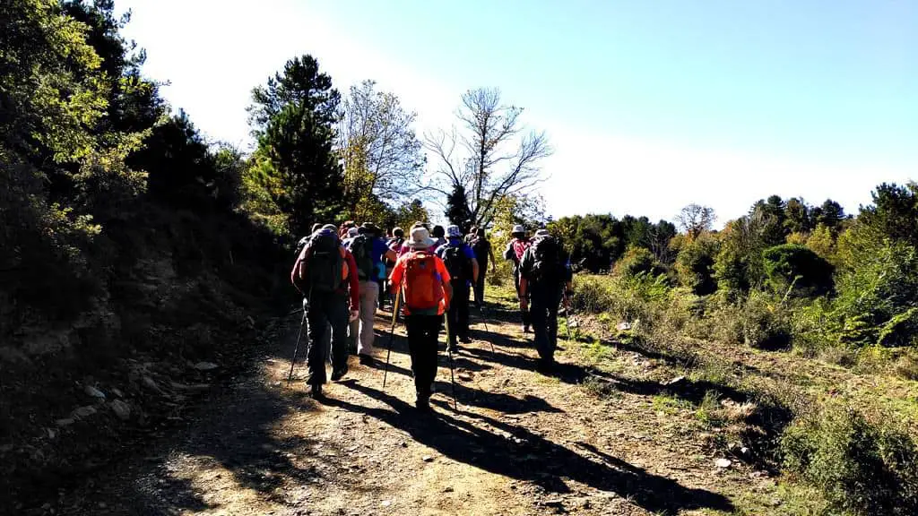 Hiking Luscious Vlachokerasia Forest in Peloponnese