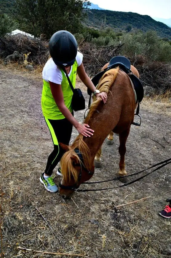 Lesvos HorseBack Riding and Hiking