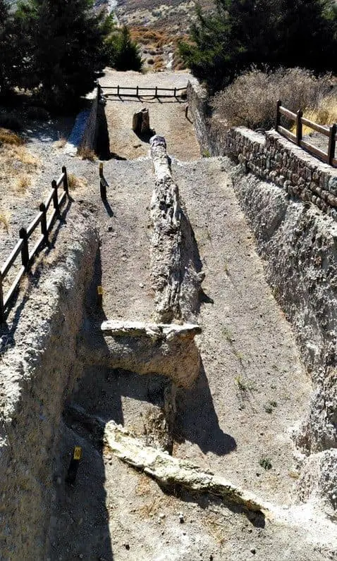 Ancient Petrified Forest of Lesvos and Natural History Museum