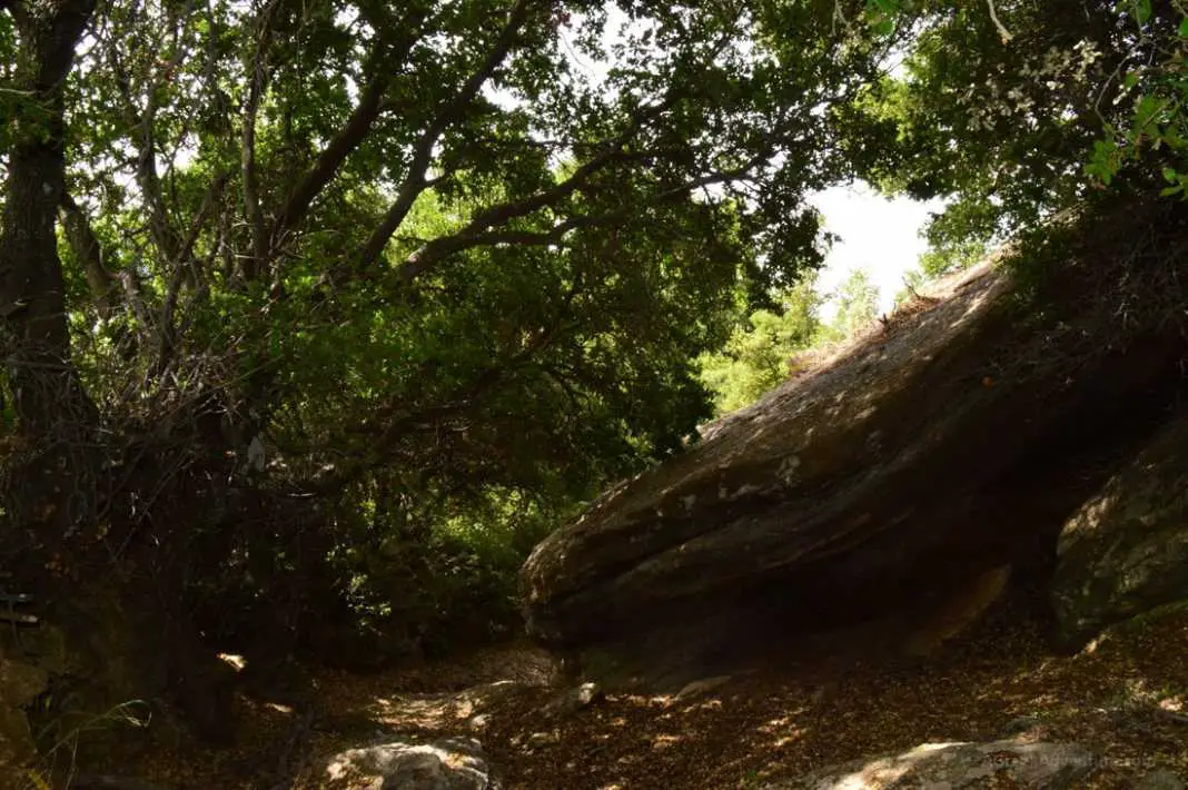 Hiking Naxos Routes: Elaiolithos to Panagia Drossiani to Chalki Circular Route