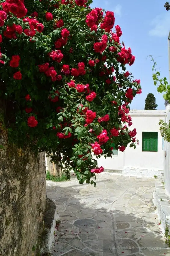 Hiking Naxos Routes: Elaiolithos to Panagia Drossiani to Chalki Circular Route