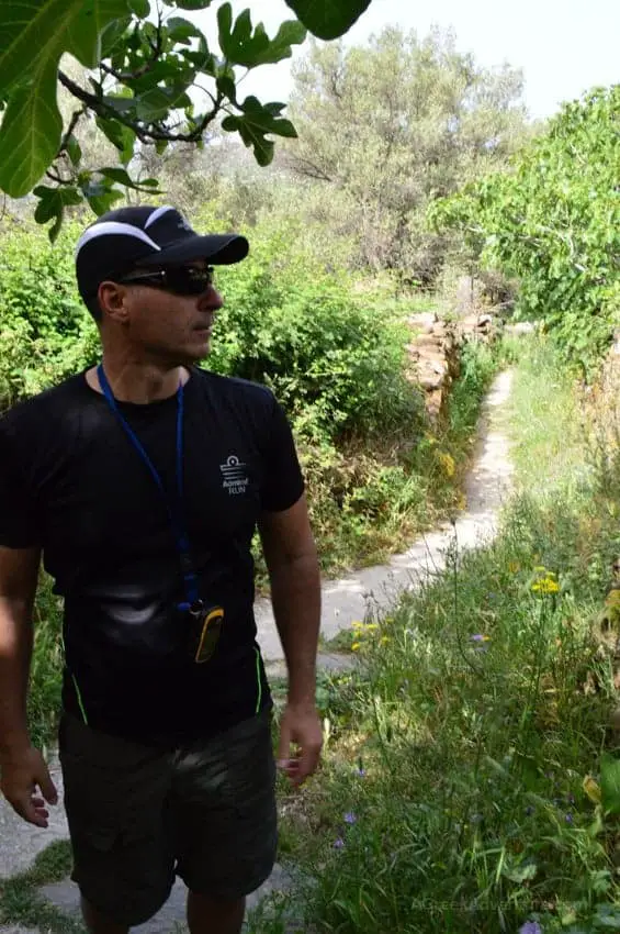 Hiking Naxos Routes: Elaiolithos to Panagia Drossiani to Chalki Circular Route