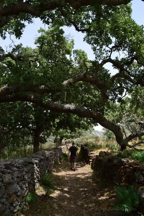 Hiking Naxos Routes: Elaiolithos to Panagia Drossiani to Chalki Circular Route