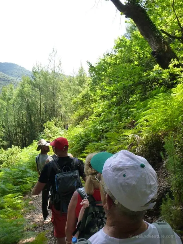 Waterfalls in Greece: Nemouta Waterfalls, Foloi Forest