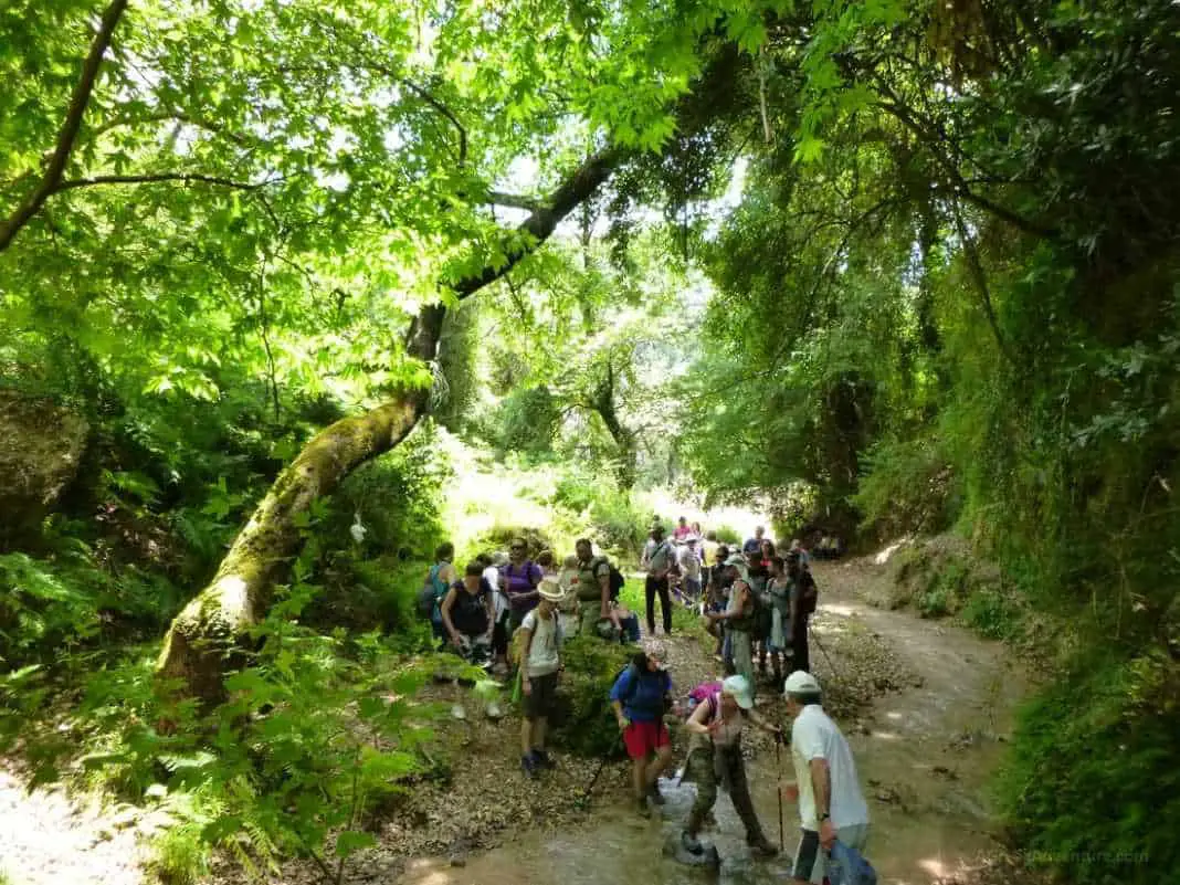 Waterfalls in Greece: Nemouta Waterfalls, Foloi Forest