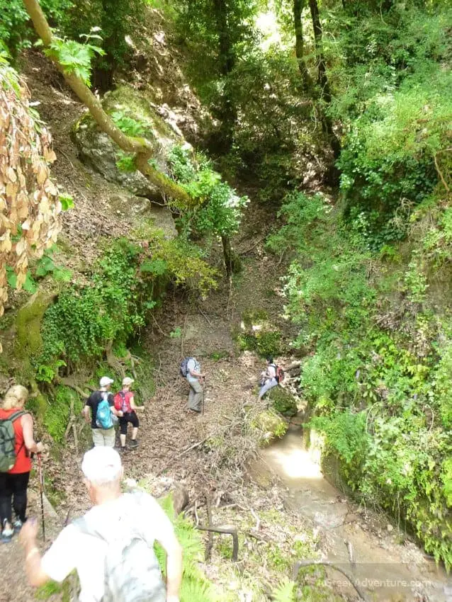 Waterfalls in Greece: Nemouta Waterfalls, Foloi Forest