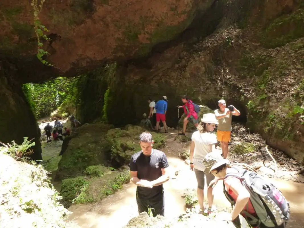 Waterfalls in Greece: Nemouta Waterfalls, Foloi Forest