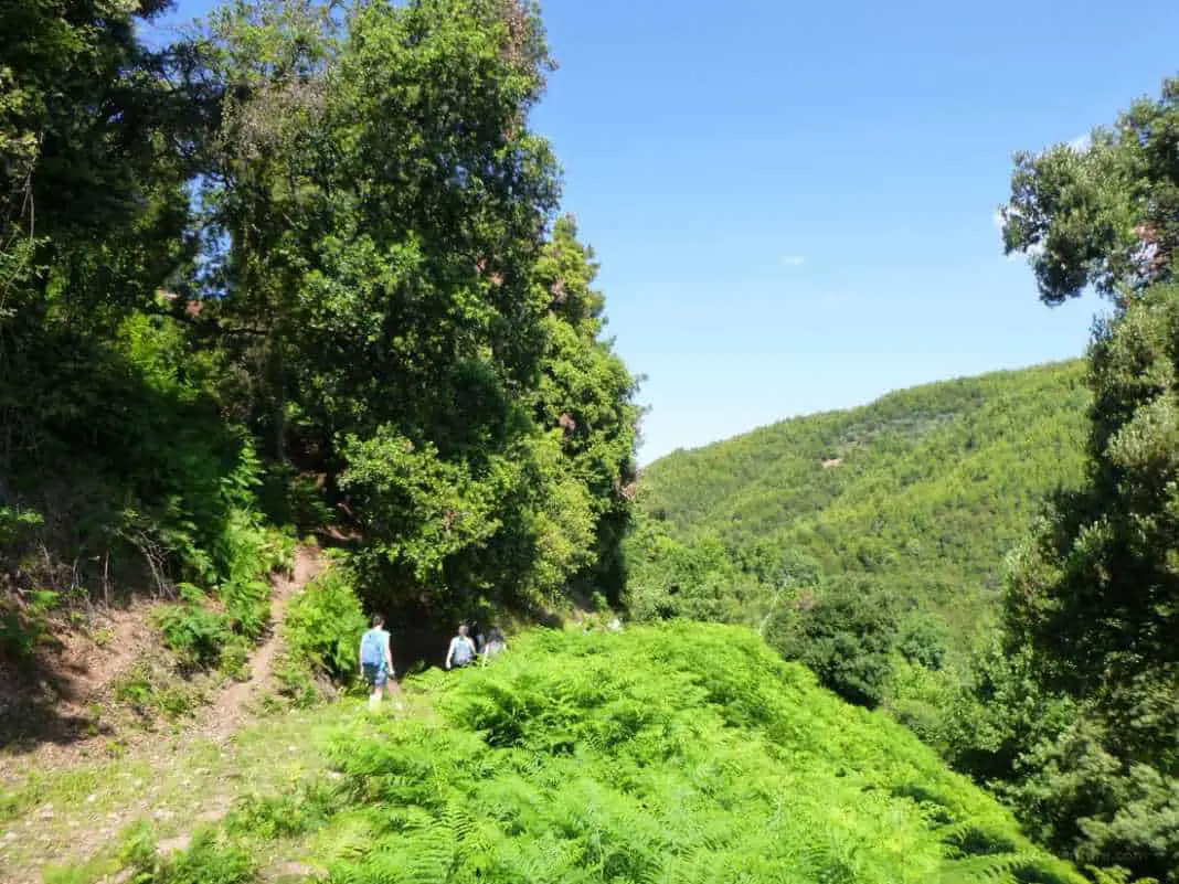 Waterfalls in Greece: Nemouta Waterfalls, Foloi Forest