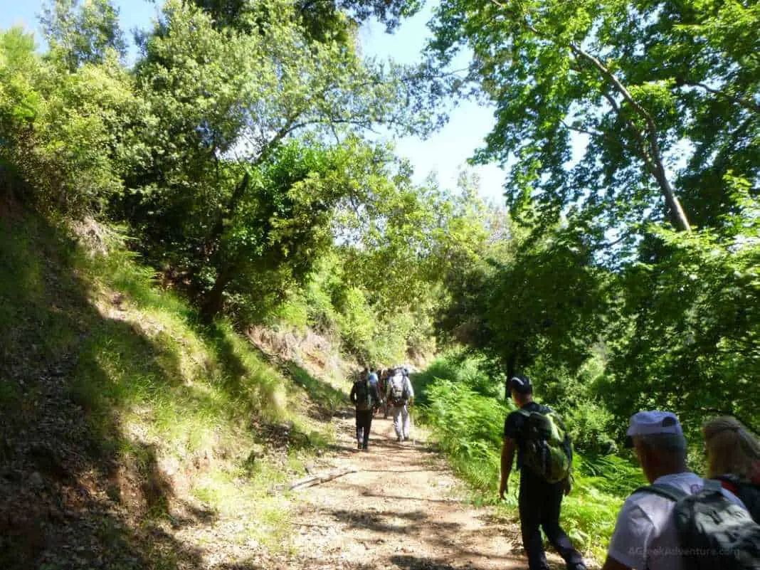 Waterfalls in Greece: Nemouta Waterfalls, Foloi Forest