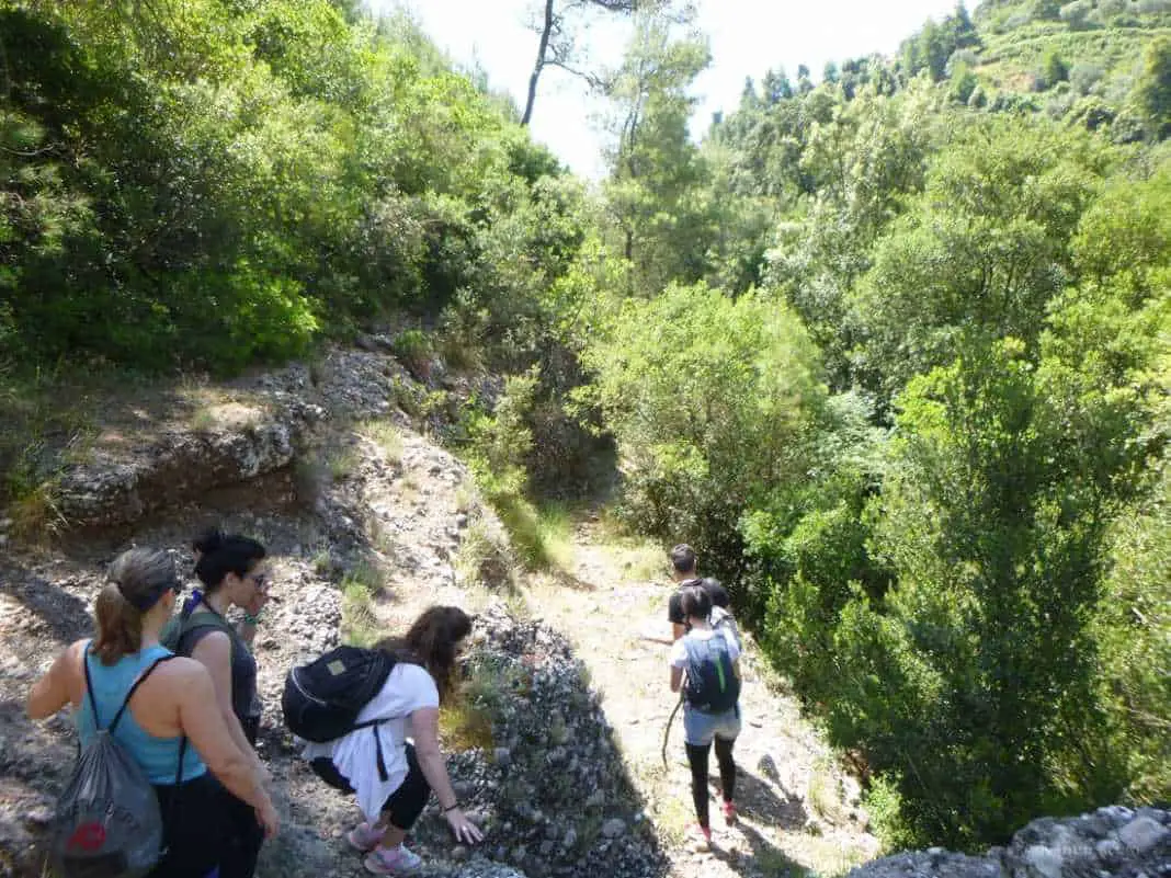 Waterfalls in Greece: Nemouta Waterfalls, Foloi Forest