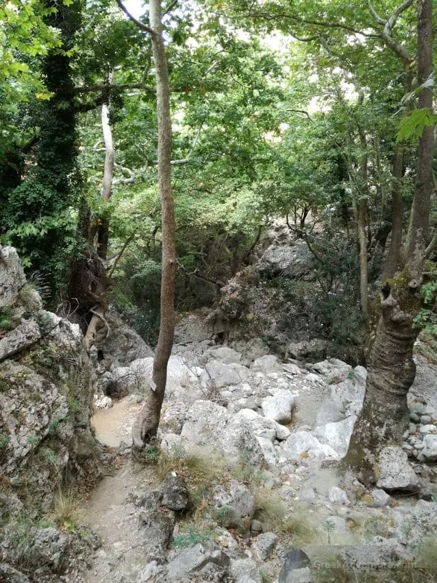 You Must Explore Patsos Gorge in Crete