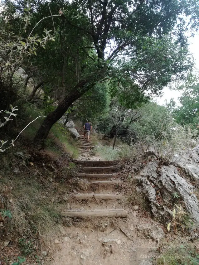 You Must Explore Patsos Gorge in Crete