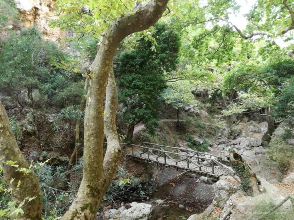 You Must Explore Patsos Gorge in Crete