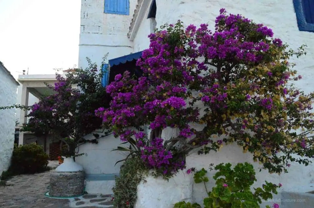 Skopelos Holidays: Mamma Mia & Chora of Skopelops