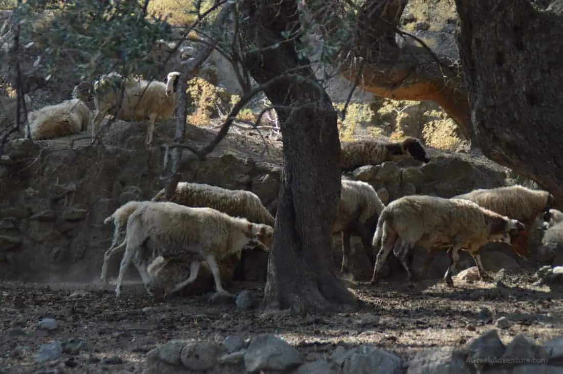 Hiking Crete Greece Rethymnon Mountains