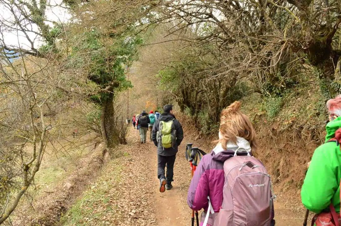 Reviewing Decathlon Trekking Gear While Climbing in Karpenisi