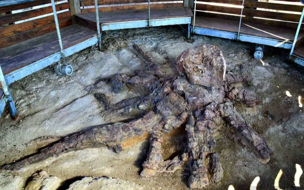 Ancient Petrified Forest of Lesvos and Natural History Museum