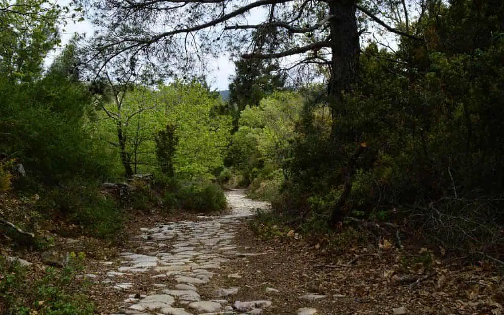 Hiking through the Chestnut Forest of Agiassos - Things To Do in Lesvos Greece